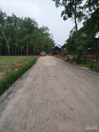 Bán đất xã Tân Hiệp, huyện Phú Giáo, tỉnh Bình Dương
