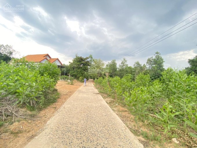 Cần bán gấp mảnh đất vườn 2135m2, ngang 83m tại xã Khánh Đông, Khánh Vĩnh
