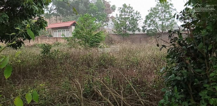 Đẹp + rẻ + có sổ + MT to + khuôn viên đẹp.
chốt lại là ai nhanh thì còn không là em bán nhanh ạ