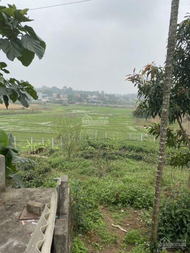 Bán lô đất view cánh đồng đẹp tại Ba Trại, Ba Vì, TP Hà Nội