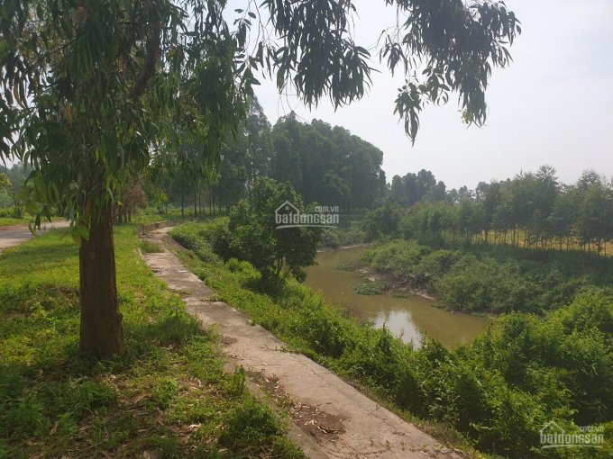 Bán lô đất view sông khu ĐT Hoài Nam, Phúc Yên