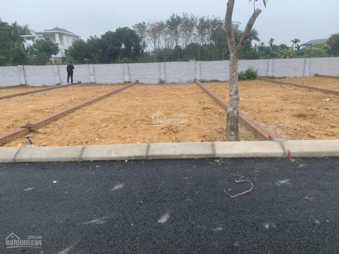 Siêu phẩm! Bán đất Phú Cát, DT 100m2, đối diện nhà máy hàng xóm Vingroup, giá chủ đầu tư