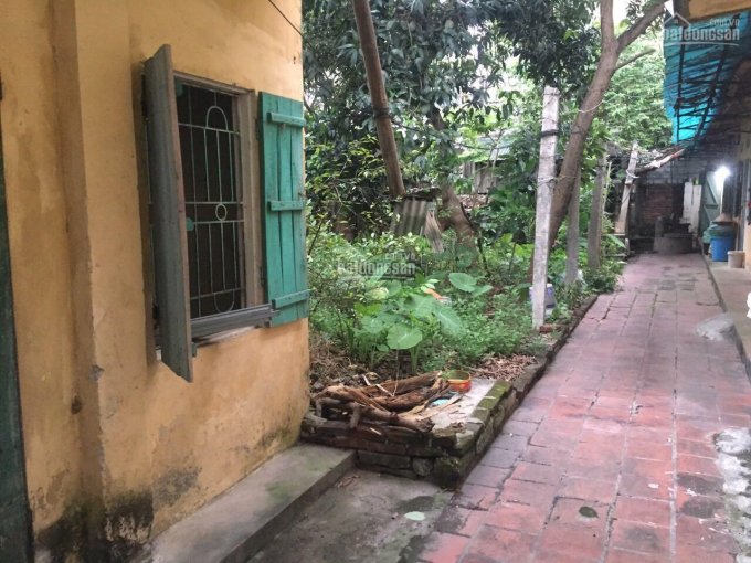 Cần bán gấp mảnh đất để trả nợ