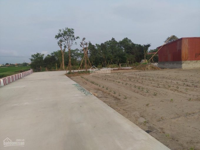 Bán đất đấu giá khu vực Trạm Bơm, xã Phúc Tiến, huyện Phú Xuyên