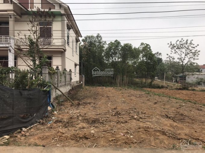 Chính chủ cần bán lô đất 137.5m2 tại Thanh Đình, Việt Trì, Phú Thọ chỉ 1,48 tỷ, LH 082918188