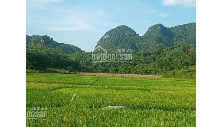 Bán đất Kim Bôi, Hòa Bình, diện tích 17000m2 view cao thoáng bám hồ nhỏ