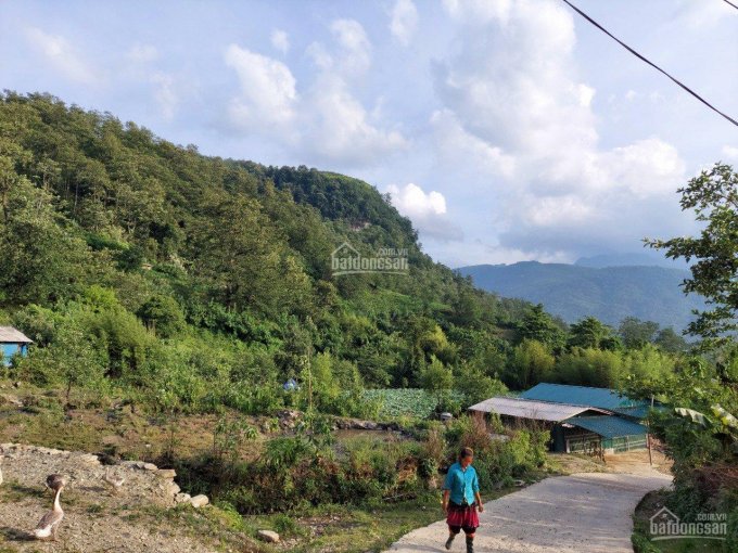 Đất Y Tý (Sapa 2) - Lào Cai, đã có sổ đỏ, phù hợp làm du lịch nghỉ dưỡng