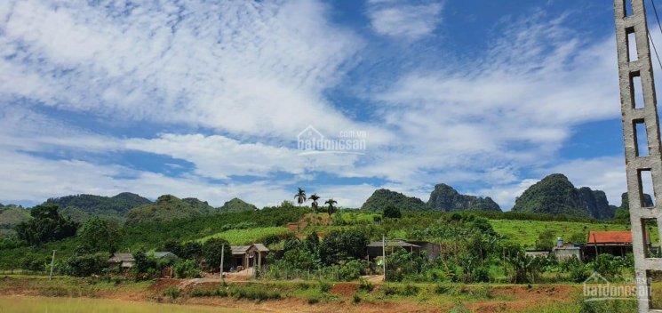 Em Quỳnh cần bán đất thổ cư lớn, giá rẻ tại Cao Phong Hòa Bình