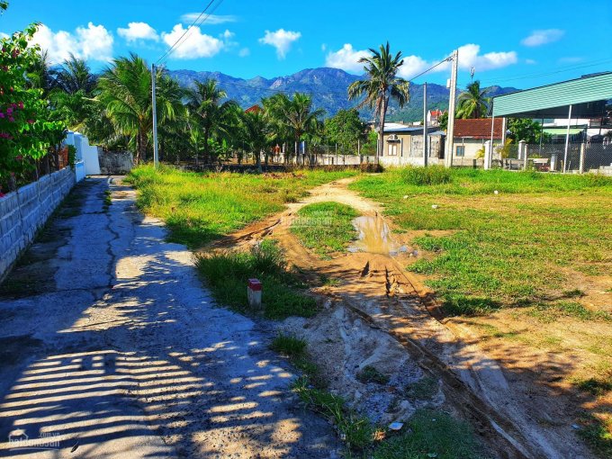 Đất thổ cư thôn Cửu Lợi, xã Cam Hòa giá rẻ 395 triệu