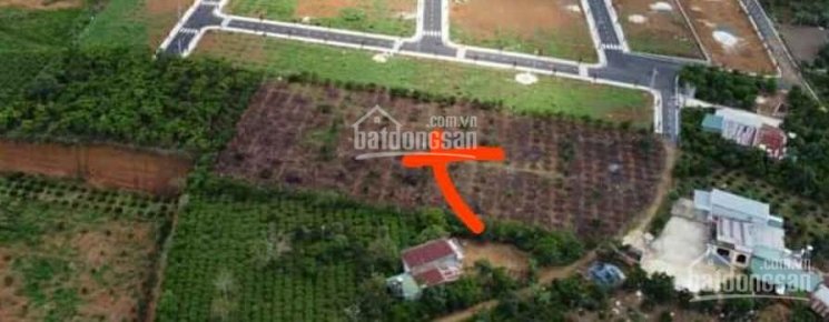 Cần tiền bán gấp mảnh đất 4260m2 Bảo Lộc, tỉnh Lâm Đồng, giá 4.8 tỷ