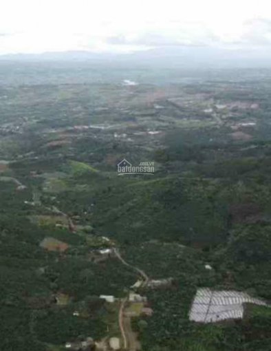 Cần bán lô đất tại Tam Bố, Di Linh, Lâm Đồng, DT 10 ha, có 800m mặt tiền đường, đất rộng lớn