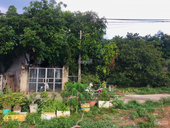 Bán đất 309m2 KCN Đồng Xoài 2, Tân Thành, TP Đồng Xoài