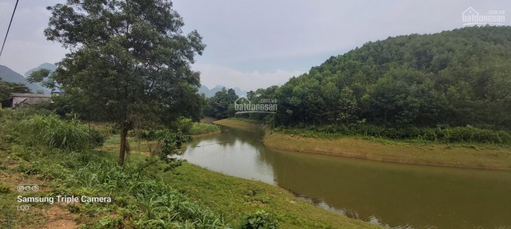 Siêu phẩm 10ha bám mặt hồ sinh thái cực víp tại Kim Bôi