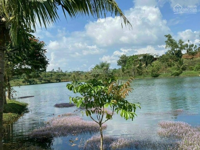 Cơ hội cuối cùng để sở hữu nền nhà phố đẹp, giá rẻ.
Giá đón đầu sang năm thanh toán