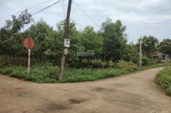 Cần bán 1300m2 đất Xuân Châu, Thọ Xuân, Thanh Hóa