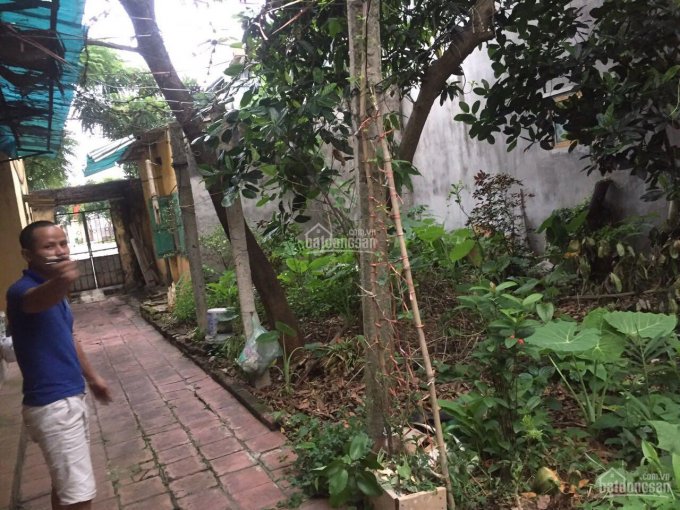 Cần bán gấp mảnh đất để trả nợ