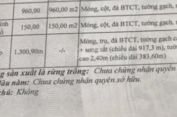 Bán đất KCN Phú An Thạnh, Long An. 110.106m2(11ha). Giá 2,45tr/m2