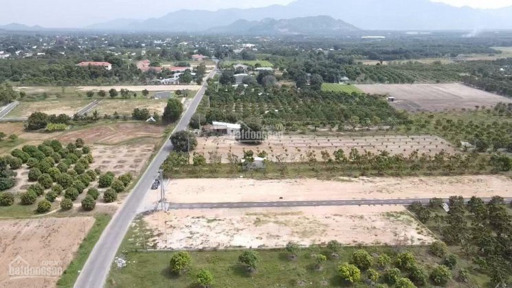 Đất nền gần cao tốc Bắc Nam tại Khánh Hòa chắc chắn x10 lợi nhuận khi cao tốc hoàn thành