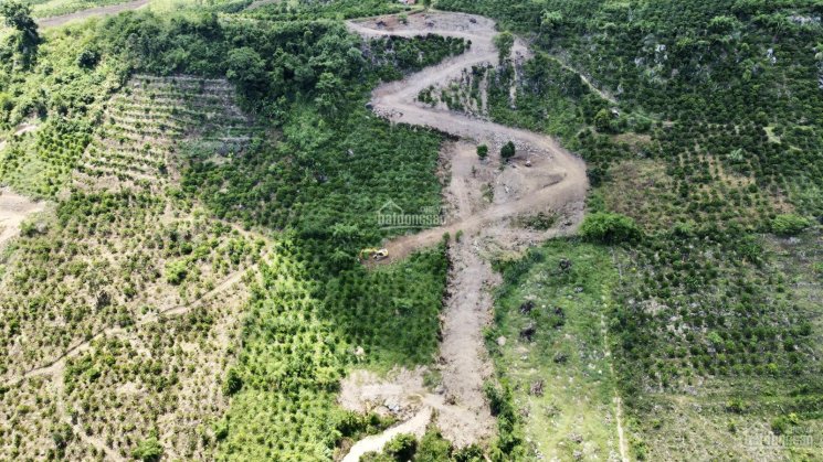 Cần bán hơn 1.6 ha đất view sông Đồng Nai - xã Tân Nghĩa - Di Linh, đẹp từ mọi góc nhìn