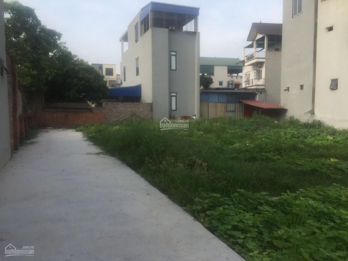 Bán 62m2 đất ngõ ô tô Lâm Tiên, Nguyên Khê, Đông Anh