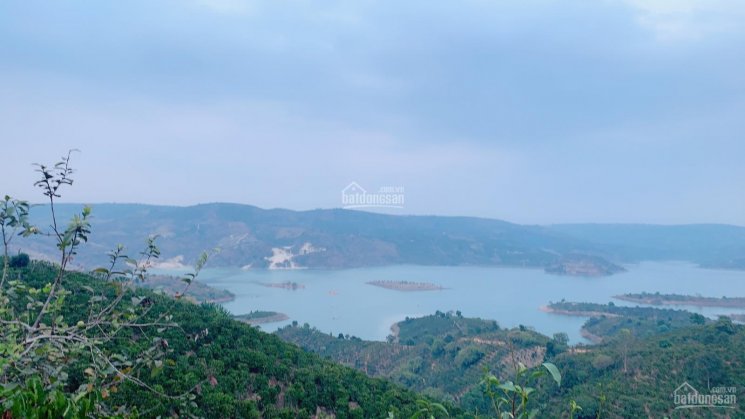 Cần bán lô đất view sông Đồng Nai, giá rẻ bèo nhèo