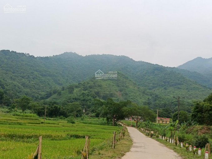Bán lô đất 20ha đất rừng sản xuất tại Kim Bôi, Hòa Bình trong đất có suối chảy to và thác nước