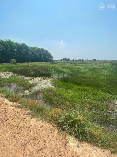 Chuyển nhượng lô đất gần 1 ha tại Lợi Thuận, Bến Cầu, Tây Ninh