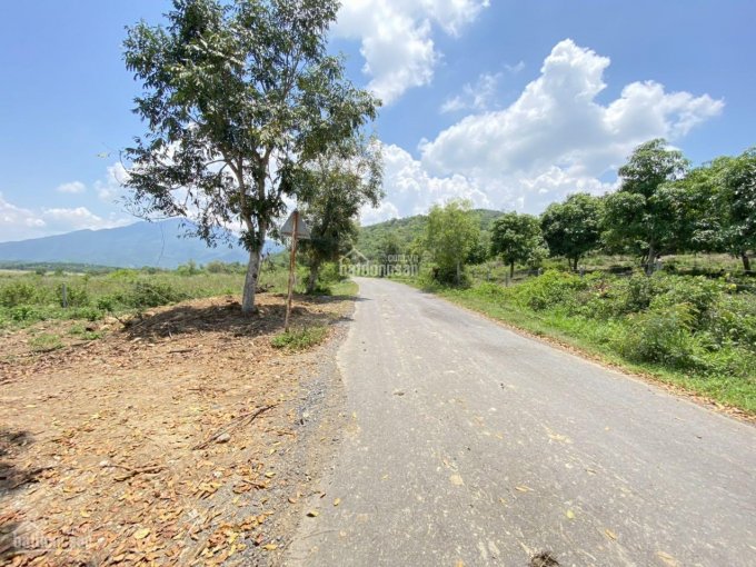 Bán đất Diên Lâm, cây lâu năm phù hợp làm vườn, mặt tiền đường nhựa ngay ngã ba TL8