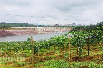 Bán 2 mẫu đất rẫy gần trung tâm huyện Chư Pưh, giá chỉ 1.4 tỷ