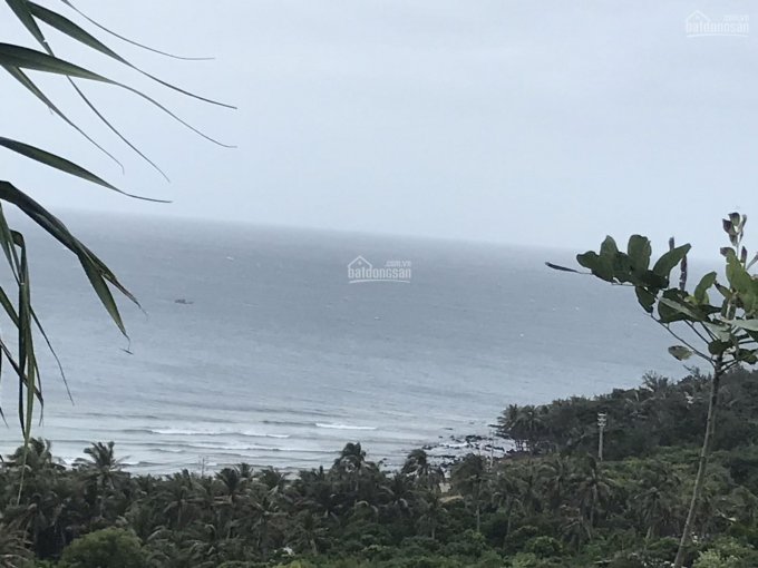 Bán đất nông nghiệp view biển giá rẻ tại Đảo Phú Quý