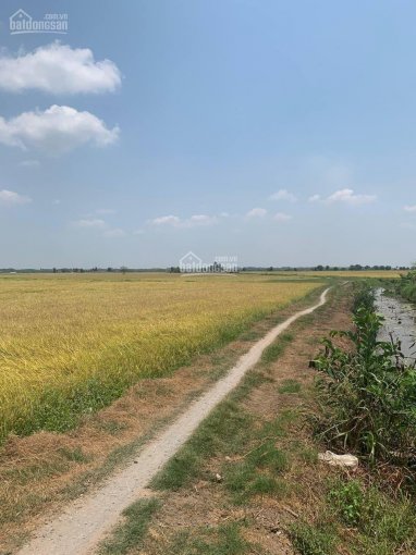 Chính chủ bán đất trồng cây (có 400m2 thổ cư) tại Tiên Thuận, Bến Cầu, Tây Ninh