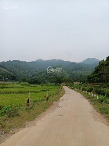 Bán lô đất 20ha đất rừng sản xuất tại Kim Bôi, Hòa Bình trong đất có suối chảy to và thác nước