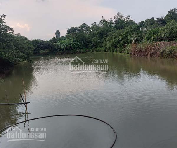 D064 - Bán nhà vườn 19300m2 có ao nước lớn 170m mặt tiền 300m TC, giá 10.43 tỷ tại Cẩm Mỹ Đồng Nai