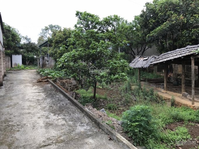 Bán đất thổ cư tại TTNT Mộc Châu - Sơn La