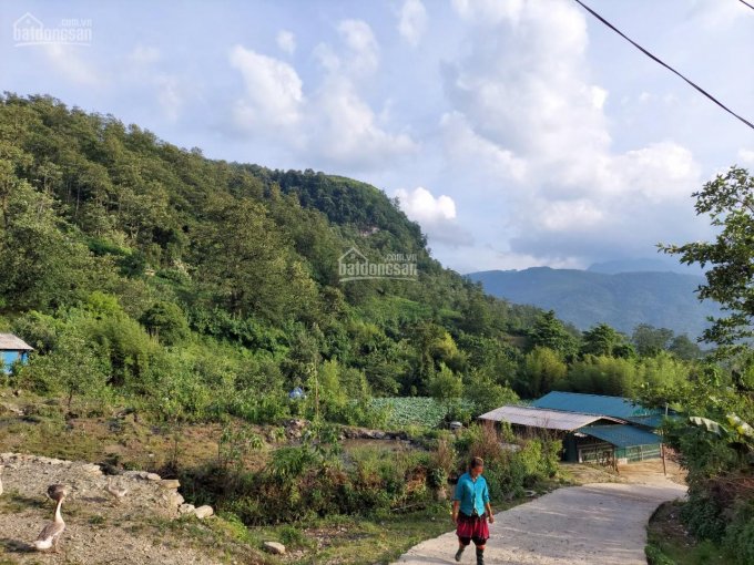 Đất nền, thương vụ đầu tiên, lãi ngay từ khi mua