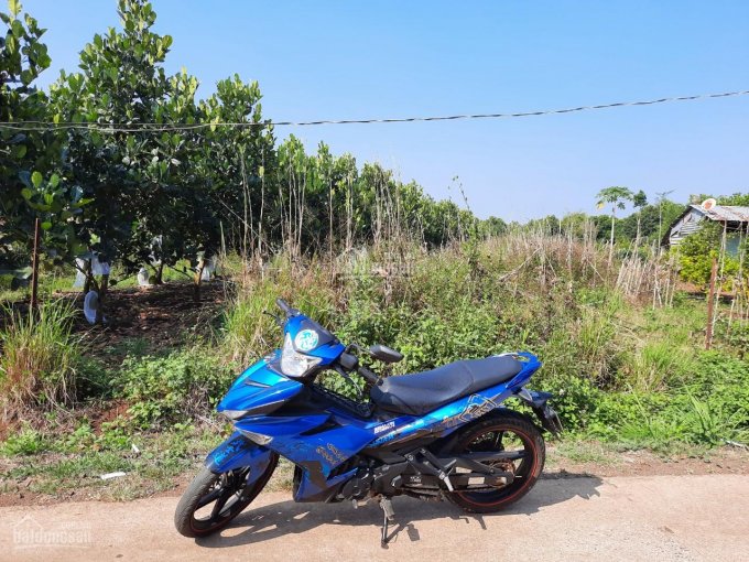Gia đình kẹt tiền cần bán gấp 1 sào đất ở Bình Lộc, Long Khánh