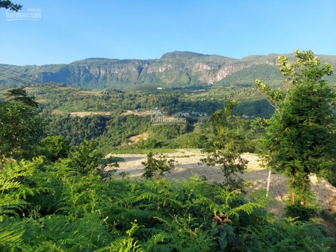 Bán lô đất 1200m2 tại Sín chải - Y Tý - Bát Xát - Lào Cai view cực đẹp giá lại vô cùng rẻ!