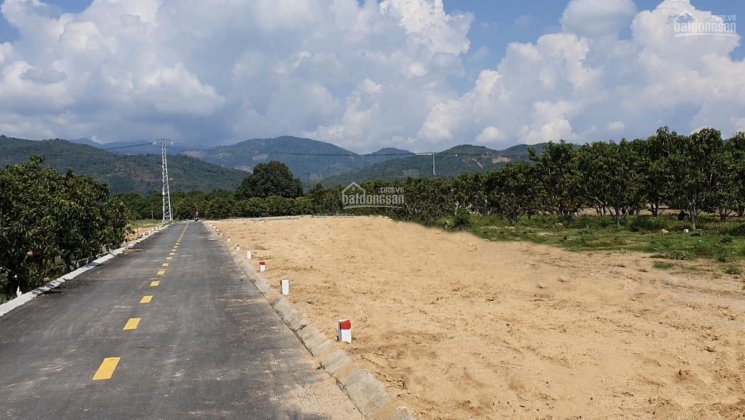 Đất nền gần cao tốc Bắc Nam tại Khánh Hòa chắc chắn x10 lợi nhuận khi cao tốc hoàn thành