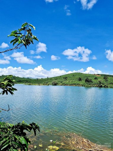 Chỉ 680 triệu sở hữu ngay trên 500 m2 đất đẹp view hồ và đồi tại Di Linh Lâm Đồng
