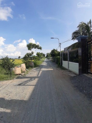 Đất 20*50m đất lúa lên thổ được, Cần Đước, Long An