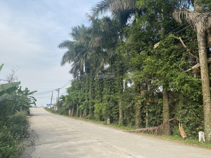 Bán 3ha đất nghỉ dưỡng siêu đẹp tại Phú Xuyên, Hà Nội