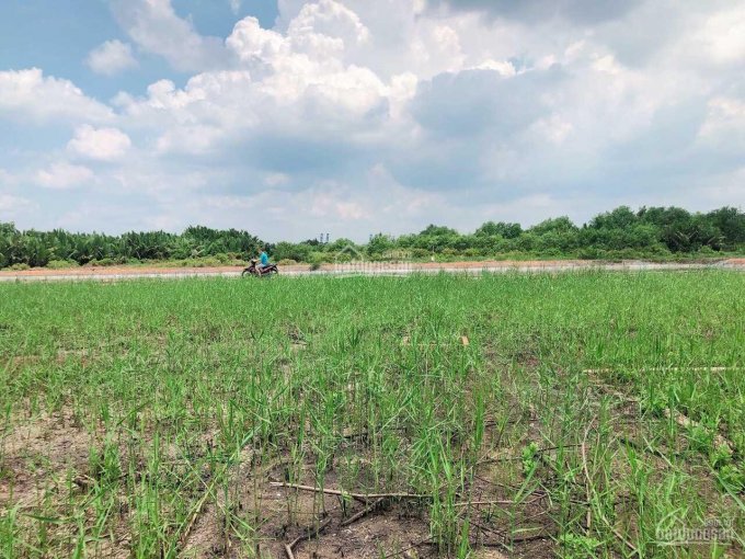 Bán 2156m2 100% đất ở ngay Bình Khánh, gần cao tốc giá rẻ chỉ bằng đất nông nghiệp