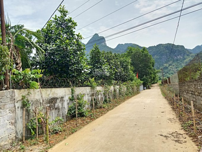 Bán nhanh căn nhà vườn tại xã Cố Nghĩa, Lạc Thủy, Hòa Bình