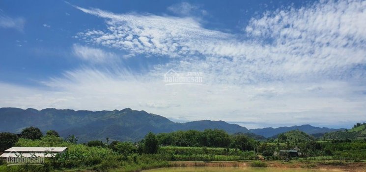 Em Quỳnh cần bán đất thổ cư lớn, giá rẻ tại Cao Phong Hòa Bình
