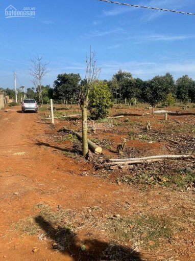 Cần bán lô đất nhà vườn 600m2 ngay xã Bình Thuận, TX Buôn Hồ
