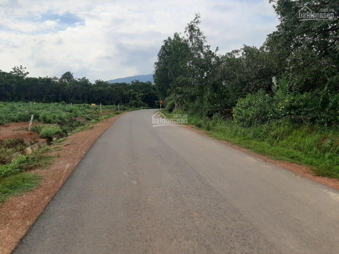 Bán đất mặt tiền vào hồ Gia Măng, Xuân Lộc, Đồng Nai, 1000m2 (10x100m), SHR, KDC, KCN, nghỉ dưỡng