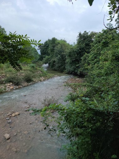 Bán vườn nghỉ dưỡng, view suối. Vị trí trung tâm thị trấn Đạ M'Ri, Đạ Huoai, Lâm Đồng