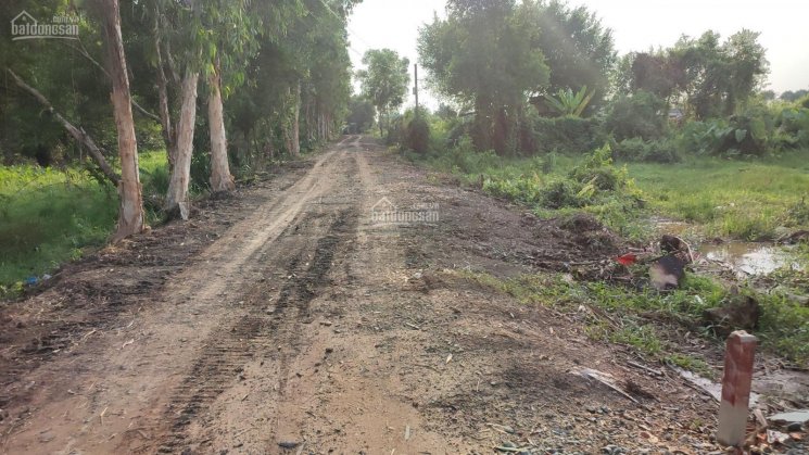 Đất trồng cây lâu năm trong KDC mặt tiền rạch Bà Đội, DT 2822m2, giá đầu tư còn TL