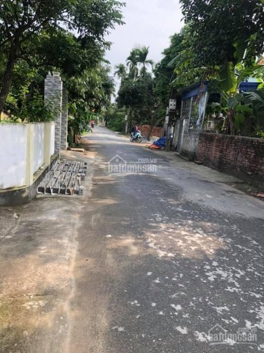 Bán lô đất mặt đường nhựa thôn Đại Trang, Bát Trang, An Lão