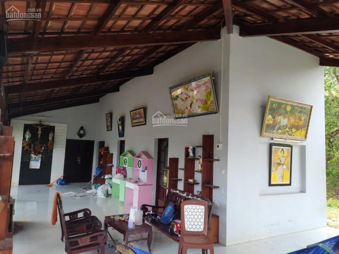 Bán đất rẫy Xuân Lộc Đồng Nai, vị trí đẹp trên trục đường Xuân Lộc - Long khánh, có nhà chuồng trại